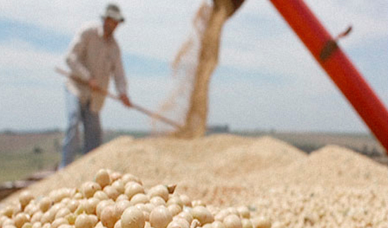 EL AGRONEGOCIO EN BRASIL